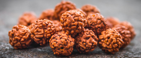 5 Mukhi Rudraksha
